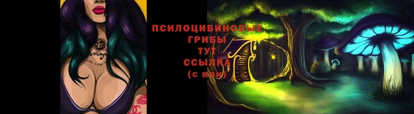 соль ск Липки