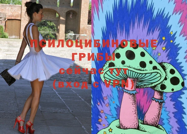 соль ск Липки