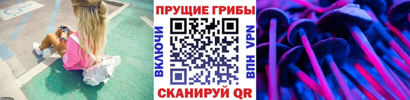 Галлюциногенные грибы MAGIC MUSHROOMS  KRAKEN как зайти  Дно 