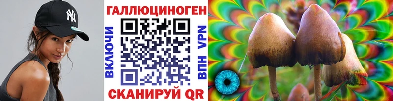 Псилоцибиновые грибы прущие грибы Дно